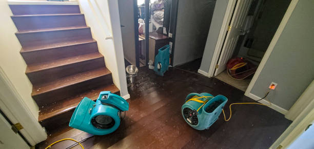 Best Fire Damage Restoration  in Tarpon Springs, FL