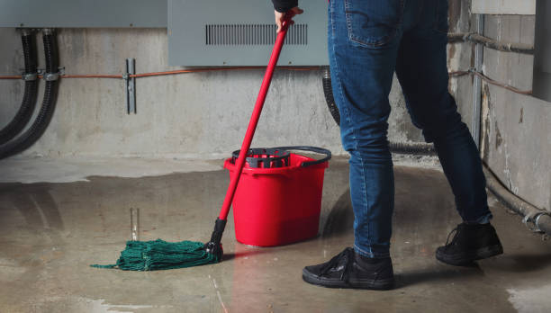 Best Water damage restoration near me  in Tarpon Springs, FL