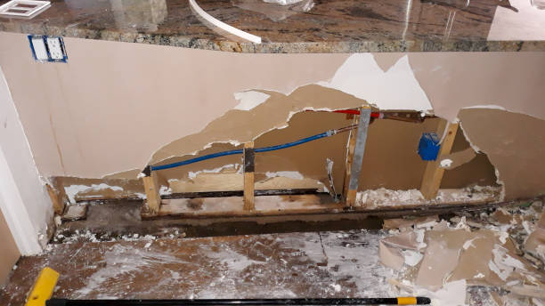 Best 24/7 water damage repair  in Tarpon Springs, FL