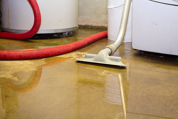 Best Local water damage restoration  in Tarpon Springs, FL