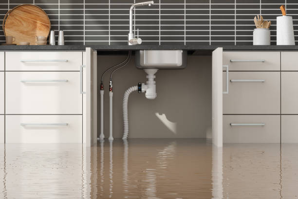 Best Water damage contractors near me  in Tarpon Springs, FL