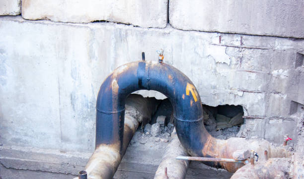 Best Flooded house restoration  in Tarpon Springs, FL