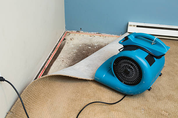 Best Water damage restoration near me  in Tarpon Springs, FL